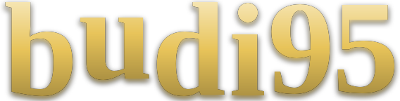 budi95 logo